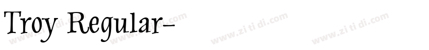 Troy Regular字体转换
